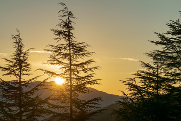 A sunrise photography over the Himalayas, taken from Chail