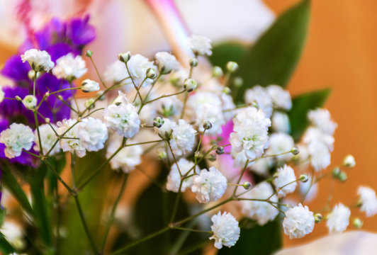 flower arrangement from small white flowers. background little flowers. selective focus. Romantic soft gentle artistic image, free space for text.
