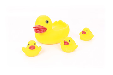 family of yellow ducks with mother on white background