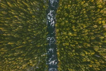 Wall murals Olif green Aerial view coniferous forest and river landscape travel wilderness scenery in Finland scandinavian nature top down
