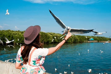 Behind view of beautiful woman feeding gulls or sea gull by her hand with beautiful nature scene background