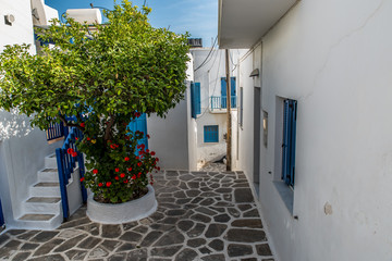 Traditional small alleys at Parikia the port of Paros island, in Cyclades, Greece