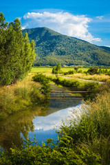 Countryside View in Thailand (Thong Saen Khan, Uttaradit)