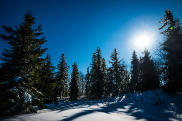 Fototapeta na wymiar Wonderful beautiful winter landscape