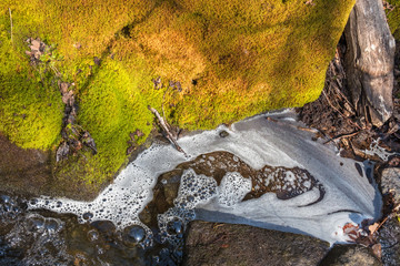 Water bubbles and foam in a puddle