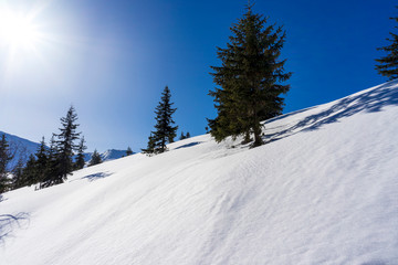 Fototapeta na wymiar Winter in the Tatra Mountains near the Gasienicowa valley.