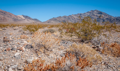 Panorama de la Vallée de la Mort en Californie