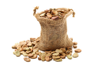 Fava beans,Vicia faba on white background