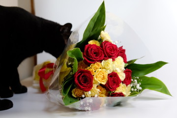 猫と花束