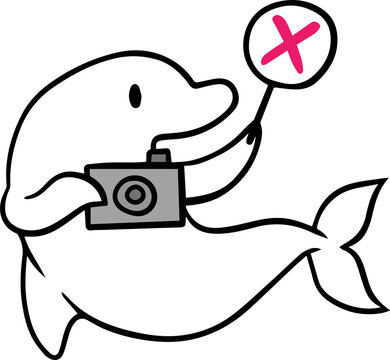 白イルカ Stock Photos And Royalty Free Images Vectors And Illustrations Adobe Stock