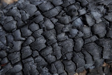 Abstract black color natural wood charcoal surface pattern texture background