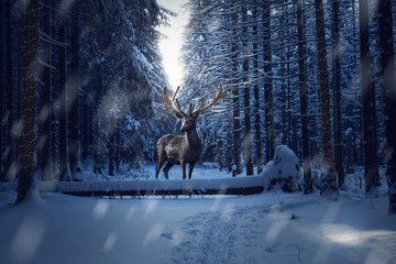Hirsch steht in einem Winter Wald mit Schneefall. Lichterketten an den Bäumen und Geweih....