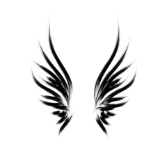 wings