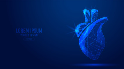 Heart human organ geometric lines, low polygon triangles style wireframe vector banner template. Isolated medicine science technology concept on a blue background.