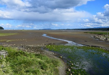 Estuary landscape, low tide with rain clouds overhead, Courtenay Vancouver Island, BC Canada