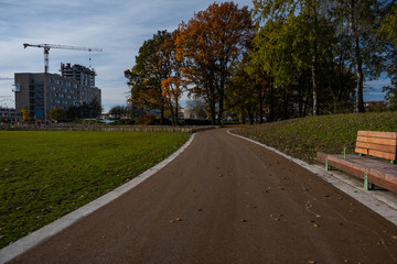 road in autumn