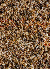 Background of gravel and small multi-colored river pebbles