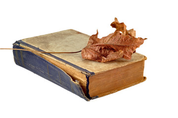 Old yellowed book with torn binding and old autumn maple leaf on a white background