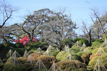 初冬の千秋公園