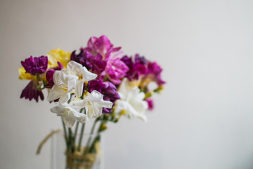 beautiful multi-colored alstroemeria bouquet in a glass vase