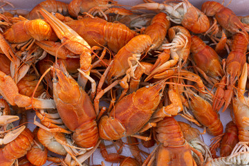 background of fresh crayfish sold in market