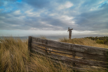 Obraz premium Wynward Beach at low tide and other beach locations, Tasmania, Australia