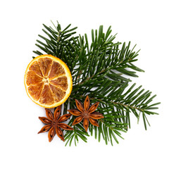Pine cones and fir tree branch on a white background.