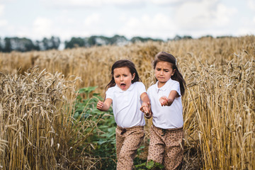 Two adorable little sisters walking happily in wheat field on warm and sunny summer day