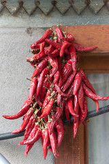 A bunch of dry red hot peppers hanging on a wooden window frame over background of grey concrete wall. Front view. Selective focus.
