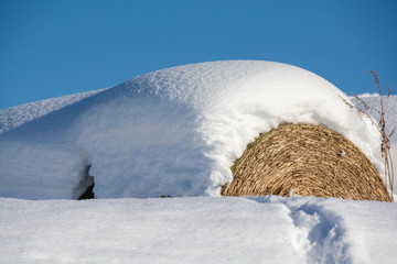 雪をかぶった牧草ロール