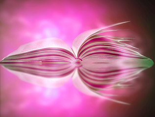 Imagine a picture book of an ancient book opened on a wooden table with a sparkling golden...
