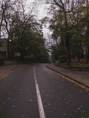 awesome road in the city
