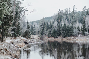 Beautiful wild forest in winter time by the river, hike trail in snow