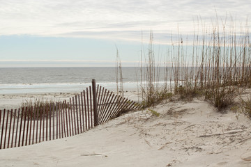 Ocean surf with sea oats