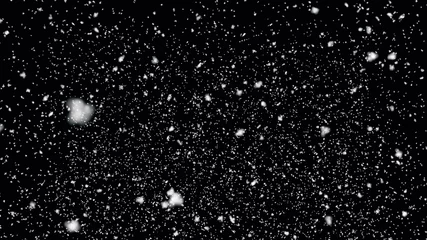 Foto op Aluminium Snow flakes falling on black background. Winter weather © sgonin