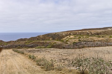 Fototapeta na wymiar Dirt road in a desertic place near Atlantic Ocean (Porto Santo, Madeira Islands, Portugal, Europe)