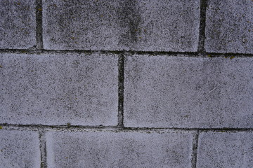 Textura ladrillos muro