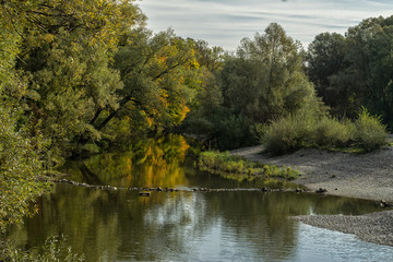 Isar im Herbst