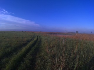 Obraz premium Field road through thick grass