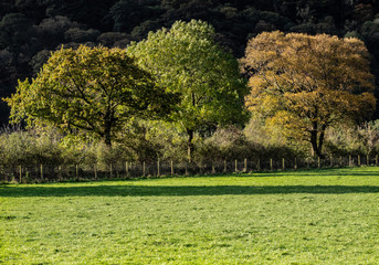 Lake District - Buttermere