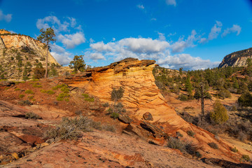 Eroded and Uplifted Sandstone in East Zion