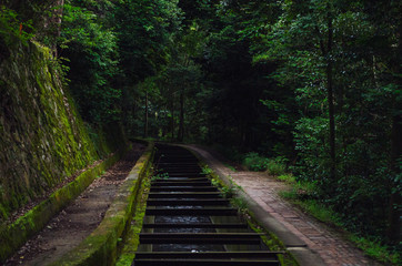 森へと続く水路　京都　南禅寺