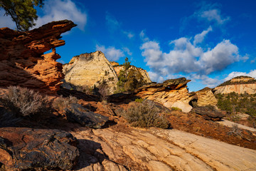 Eroded Sandstone in East Zion