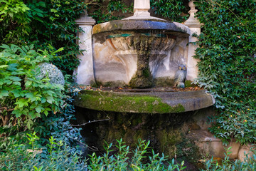 Old fountain in the lush vegetation of autumn Avignon.