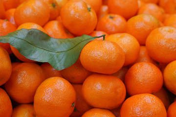 tangerines with leaves for food texture