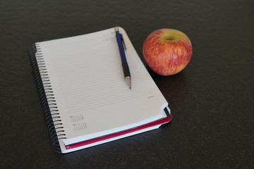 Agenda