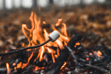 Marshmallow on skewers is fried at the stake. Toasted marshmallows open flame on skewer