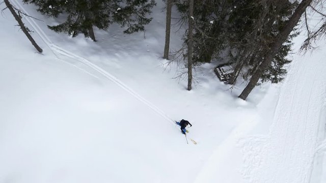 Aerial view of climber skier mountaineer man walking up snowy forest.Mountaineering ski activity. Skier skiing though snowy forest.Winter snow sport in alpine mountain outdoor.Back view.