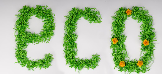 word eco from shredded paper concept of economical use of resources, happy new year, recycling, separate garbage collection. Eco-friendly concept. Word ECO is made from green, on white background