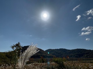 空太陽山